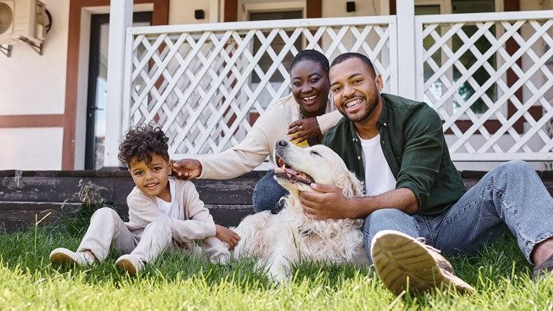10 FAQs about pet insurance in Canada