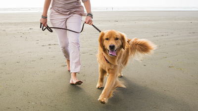 Keeping your dog safe around water