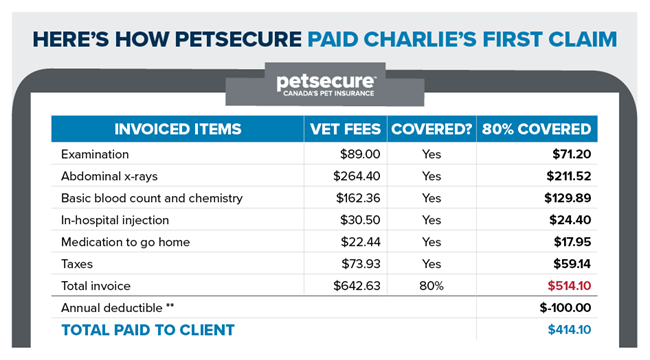 This infographic outlines how Petsecure coverage pays out a claim.