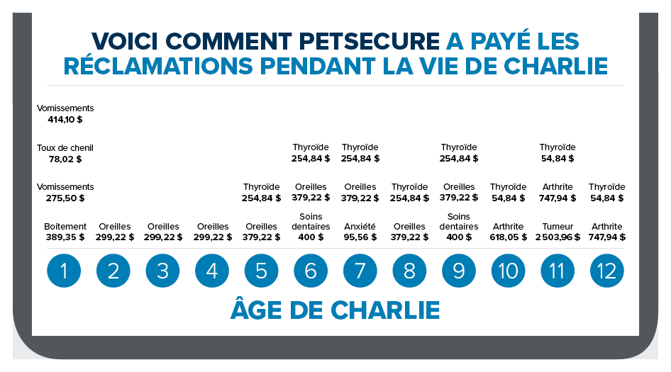 Dog-Timeline-FR.png Dog-Timeline-FR.png