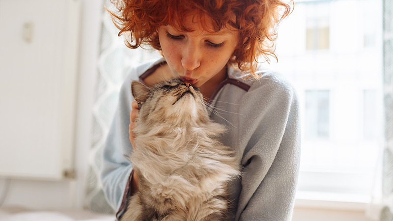 Health concerns every cat parent should know