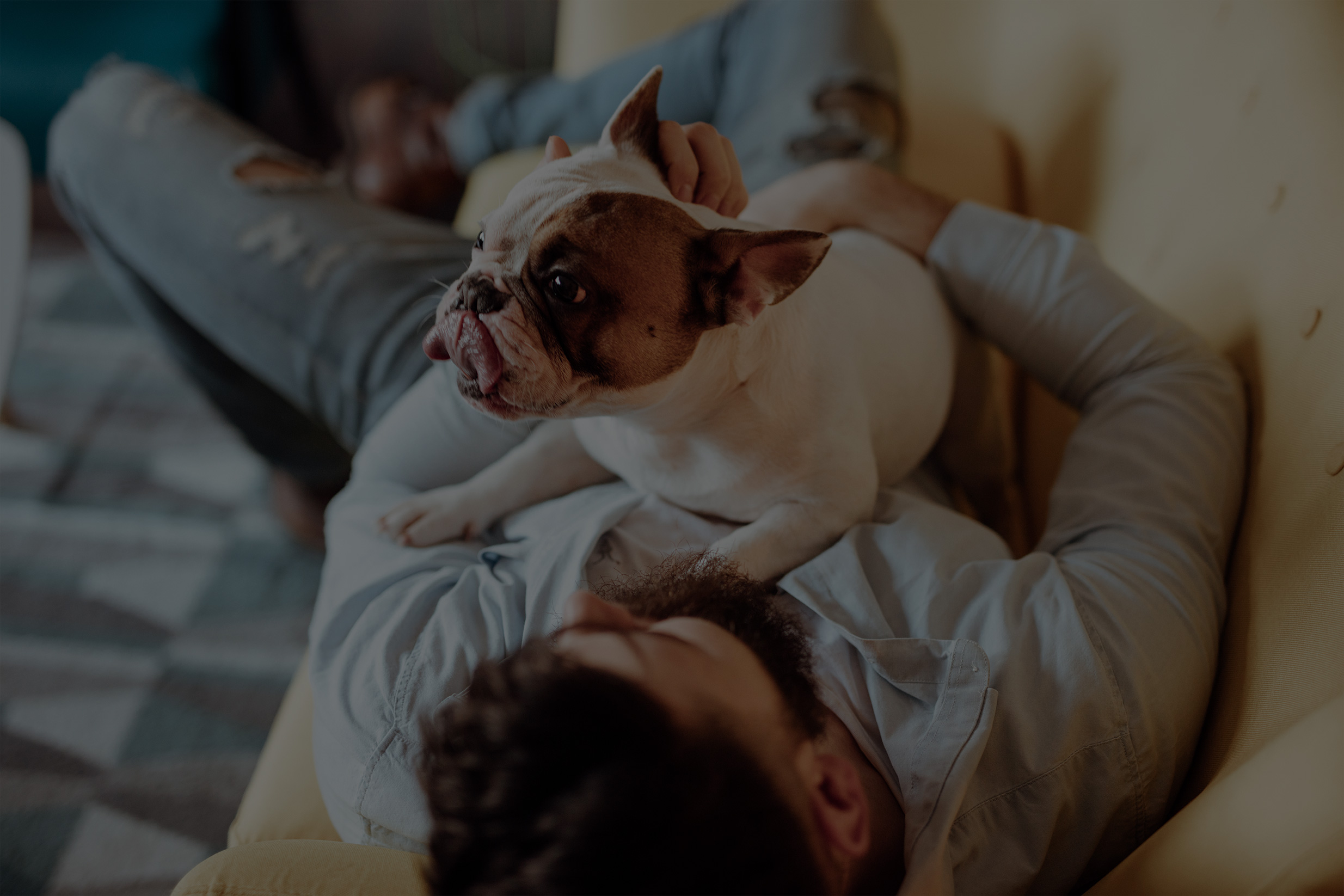 Petsecure plans & coverage