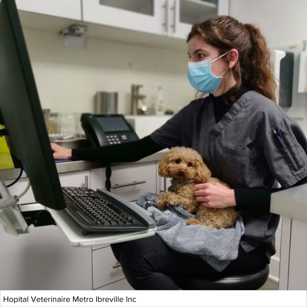 Hopital-Veterinaire-Metro-Ibreville-Inc.png