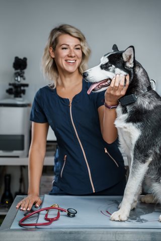A woman working in a vet clinic assessing a large breed dog that has its mouth open.