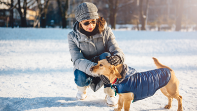 How to protect your pup from harsh winter weather