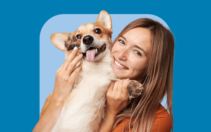 Dog insurance