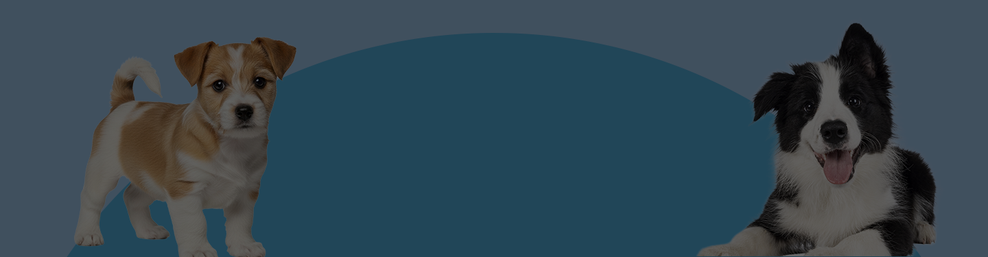 Petsecure plans & coverage