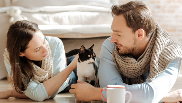 Mon chien ou mon chat est-il déprimé? Quels sont les signes et comment pouvez-vous l’aider?
