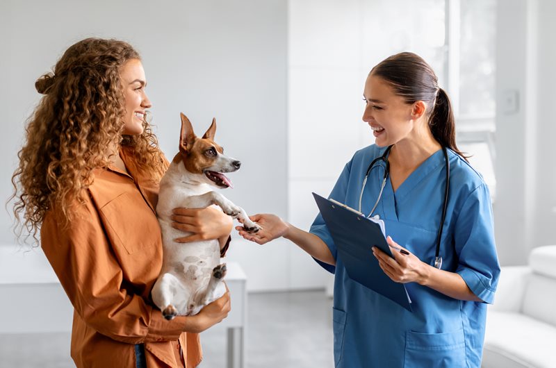 Unexpected vet costs: are you financially prepared?
