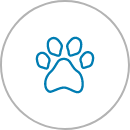 Paw-LIne-Icon.png