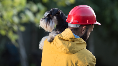 Fire safety tips for pets