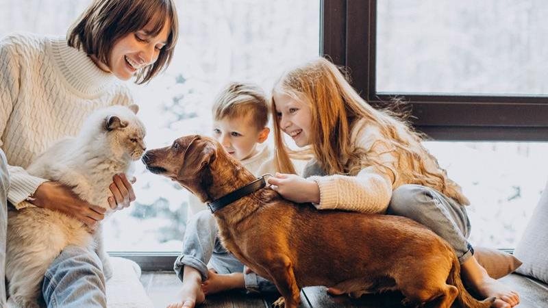 Chien ou chat? Éléments à considérer avant d’adopter un animal