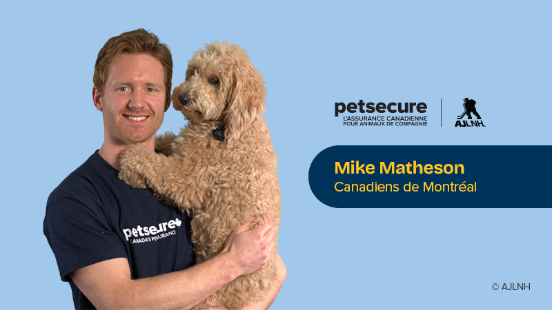 Patins, famille et empreintes de pattes