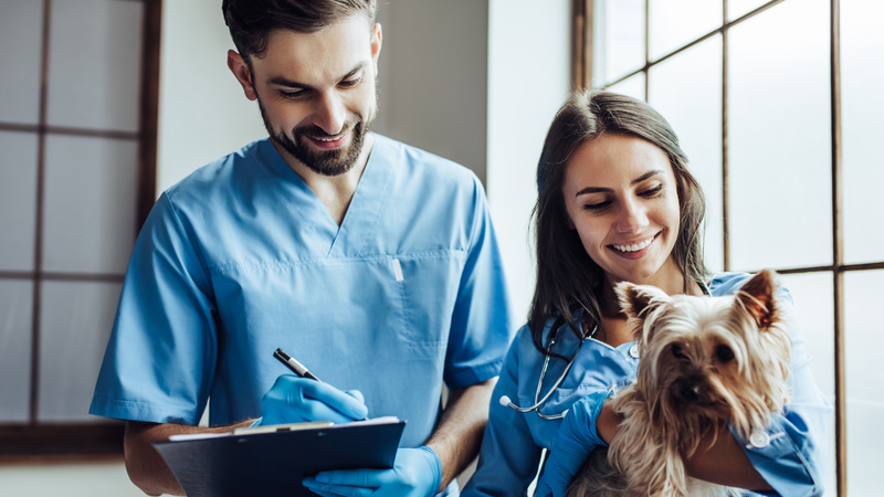 A few fun facts about vet techs!