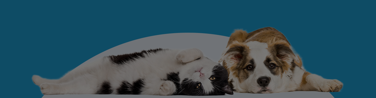Adoptsecure