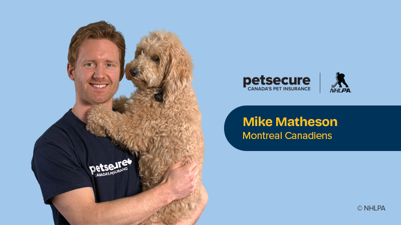 Skates, family and paw prints