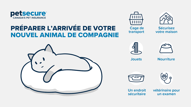 Bringing-a-new-pet-home-FR.png Bringing-a-new-pet-home-FR.png