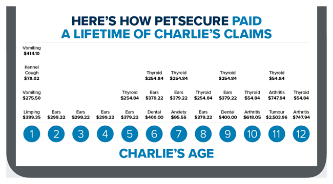 Inforgraphic of dog claims over lifetime This infographic outlines how Petsecure coverage paid a lifetime of a dog's claims.