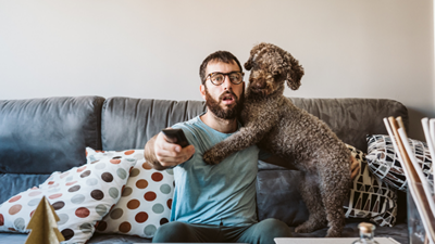 Movies to watch with your pet