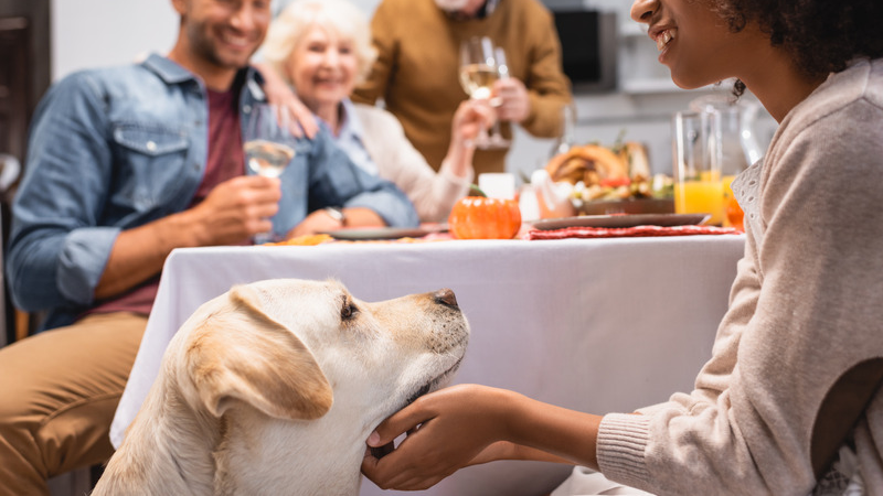 Dog-at-table-with-woman.png Dog-at-table-with-woman.png