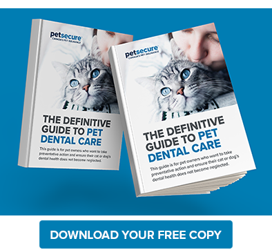 Download-Free-Dental-Guide-(1).png