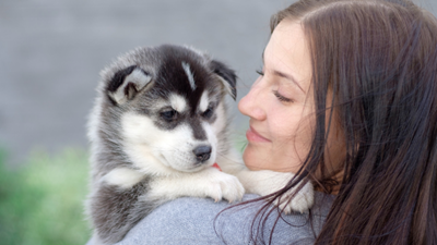 Bringing home a new puppy? Here's how to prepare