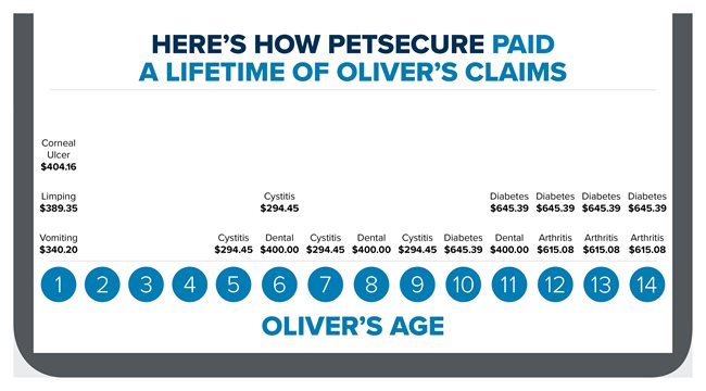 This infographic outlines how claims were paid over a cat's lifetime with Petsecure pet health insurance.