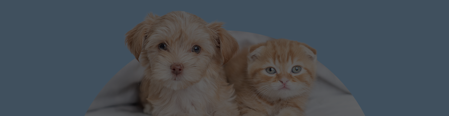 Petsecure - Breedsecure