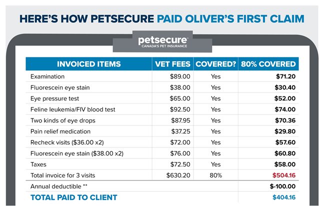 This infographic outlines how Petsecure coverage would cover a cat's first claim.