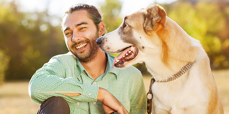 Choosing to adopt a cat or dog: what to consider