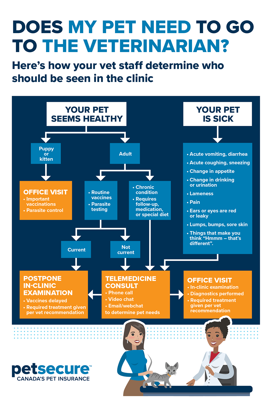 This infographic outlines various reasons that mean your pet should go to the veterinarian.