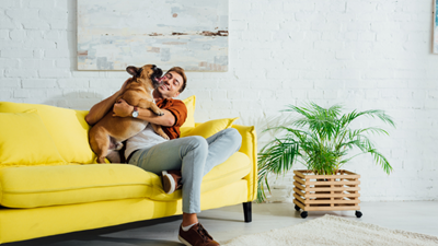 How to help your pet avoid separation anxiety after COVID-19