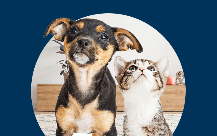 We’re there for you when you need us the most