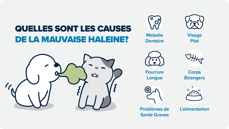 Est-ce grave pour la santé d'avoir mauvaise haleine ?