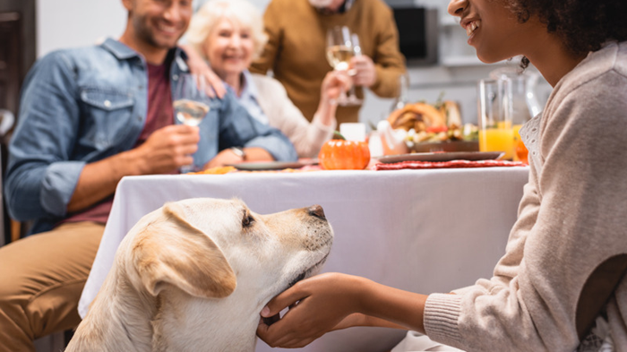 Dog-at-table-with-woman.png