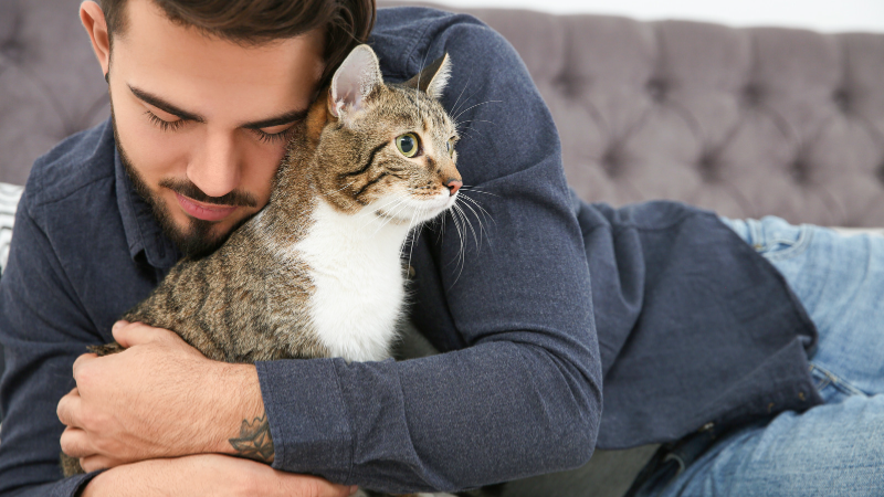 What are the emotional benefits of pet ownership?