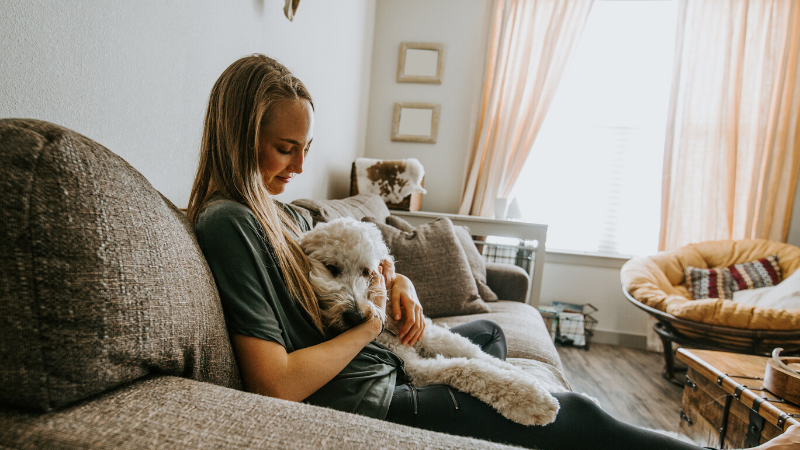 Can pets get coronavirus?