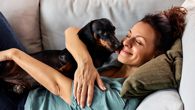 Pourquoi mon chien me lèche-t-il autant?