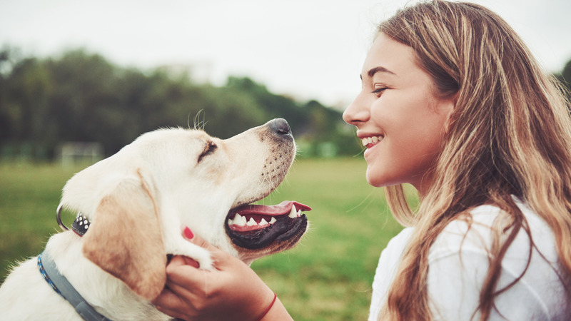 7 ways dogs show affection