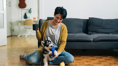 Tips for bringing home a puppy