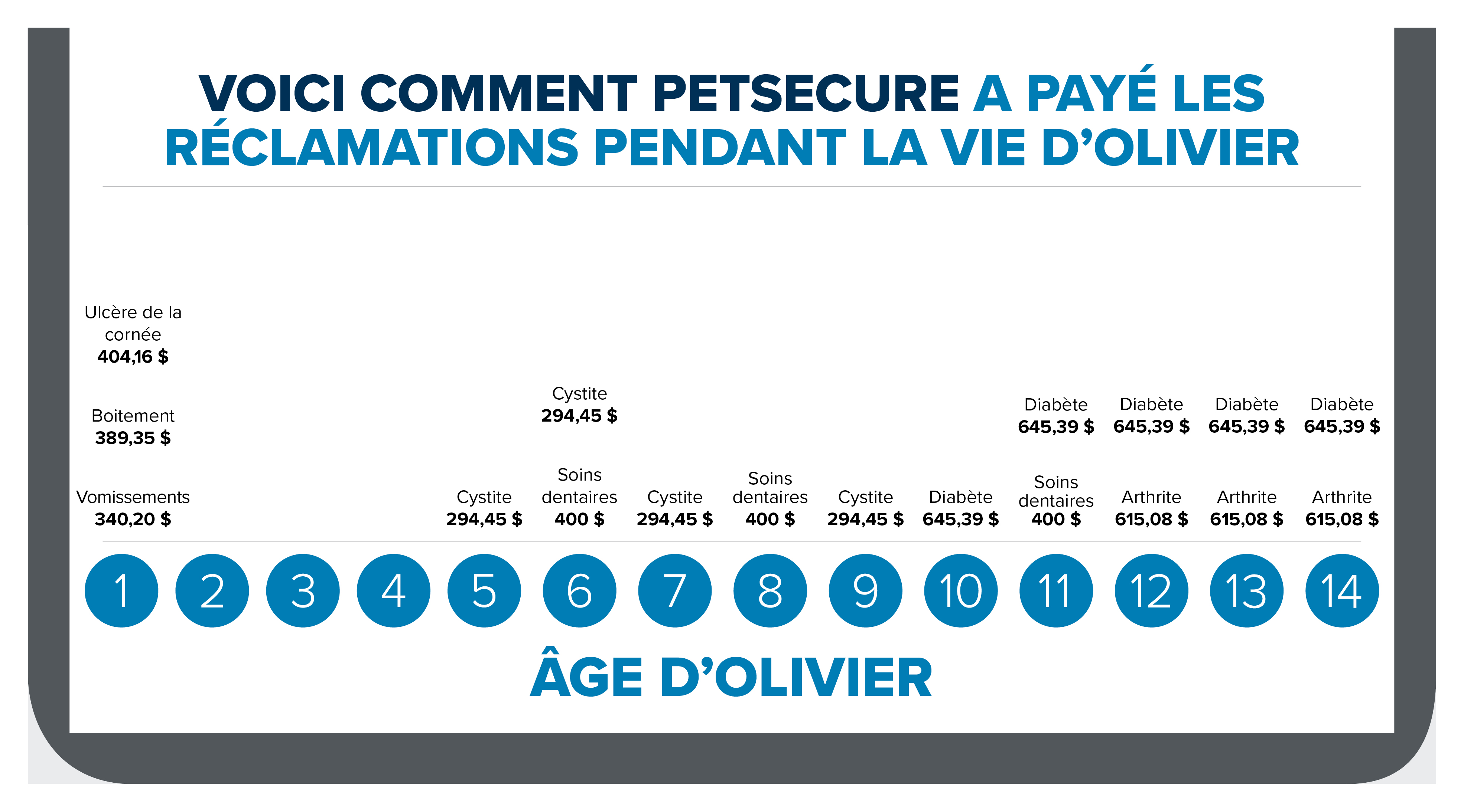 0262-Blog-Cat-Timeline-FR.jpg 0262-Blog-Cat-Timeline-FR.jpg