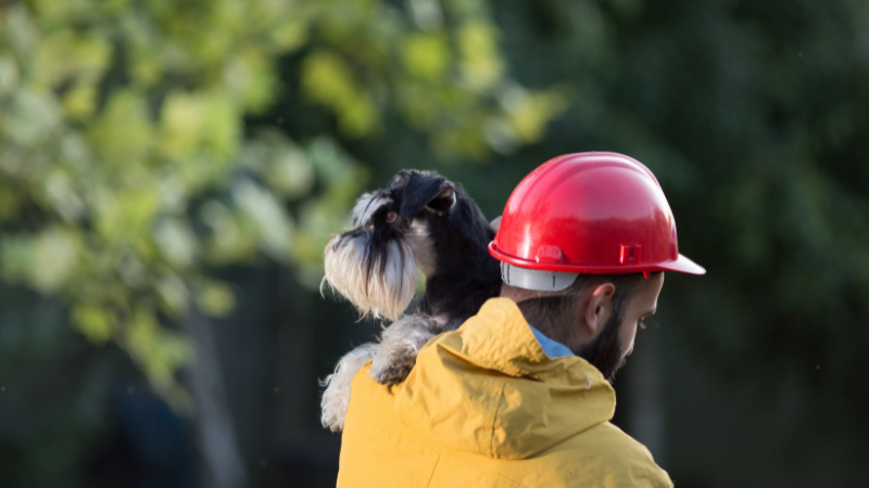 Conseils de sécurité incendie pour les animaux de compagnie