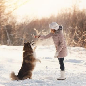 A woman practices tricks with her dog while playing outside in the snowy weather.