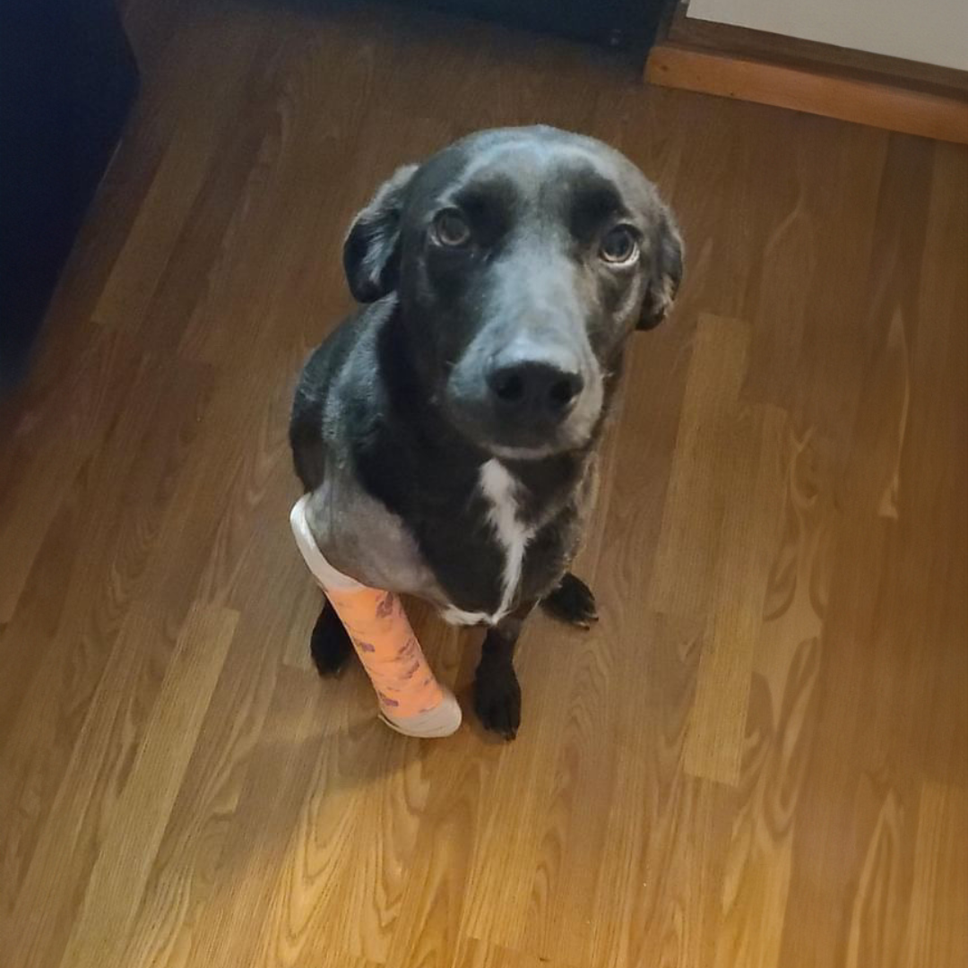 PS-Mar-13-Ozzie-03-(2).png PS-Mar-13-Ozzie-03-(2).png