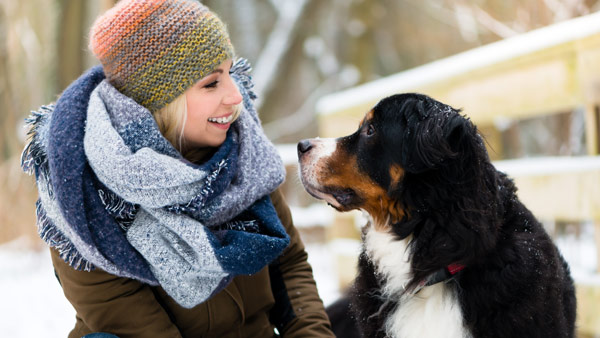 Protéger votre chien des conditions hivernales difficiles
