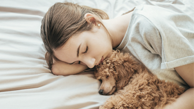 Cancer in Pets: Types and Symptoms