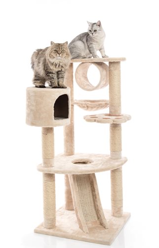 Two cats are perched on a large cat scratching house.