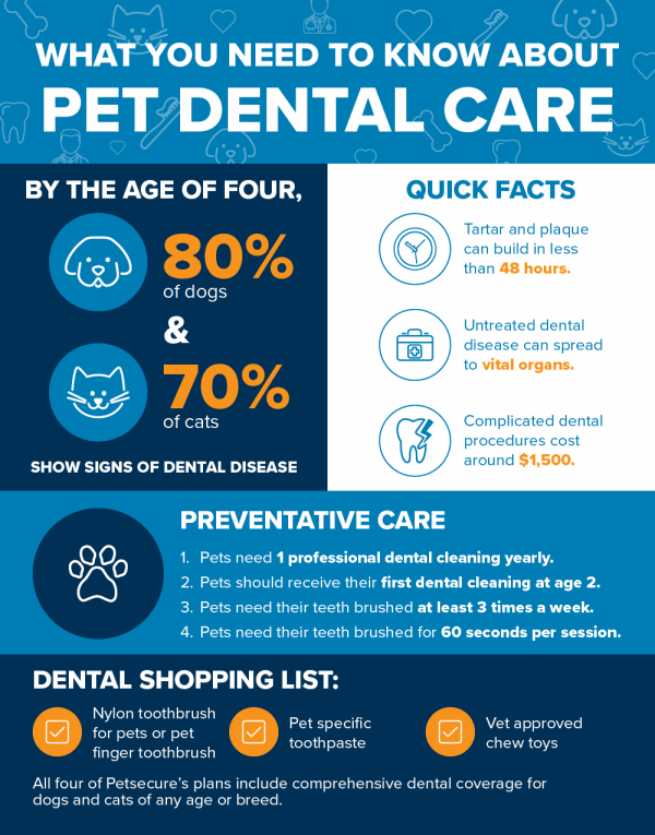 An infographic that outlines what you need to know about pet dental care.
