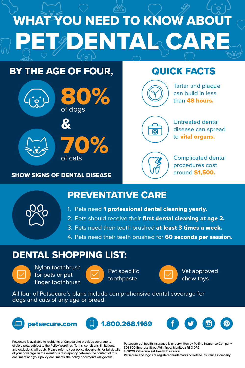 Pet dental care infographic This infographic outlines various things to know about pet dental care.